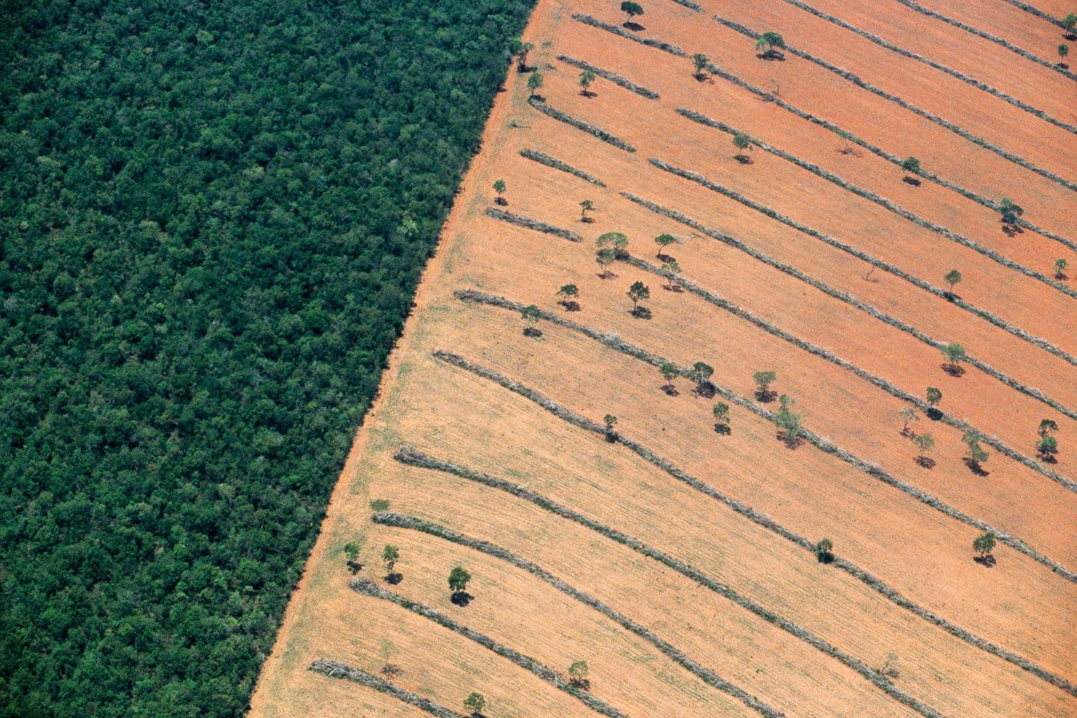 AFOLU (Agriculture, Forestry and Other Land Use) illustration